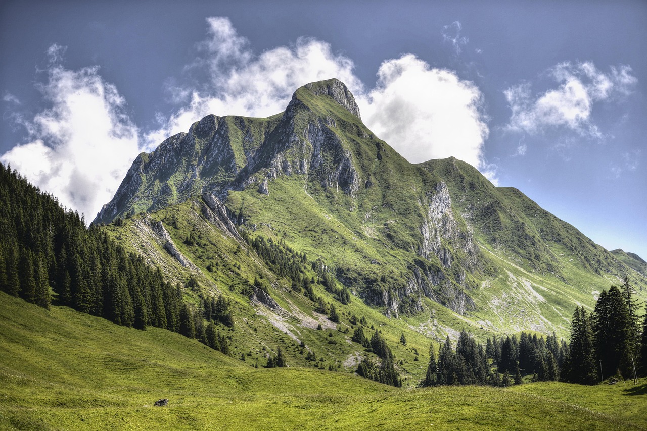 Professionell geführtes Alpenhotel